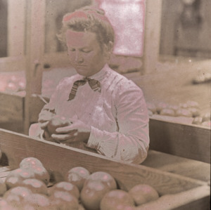 Woman with apples, circa 1910
