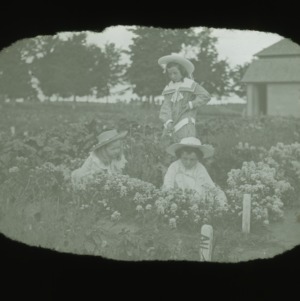 Three girls tending a garden, circa 1910