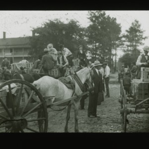 Men with fruit crates on horse carts, circa 1910