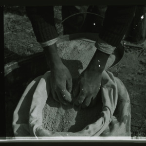 Planting Crops, Transferring material to a pail
