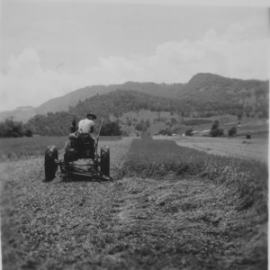Cutting field of alfalfa at Haywood County Experiment Station