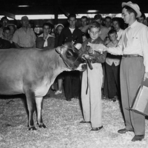 Cow and Calf exhibits prize-winners