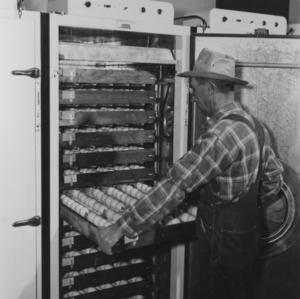 Man with egg incubator