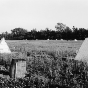 A-Type hog shelter on Mr. Dunn's pastures