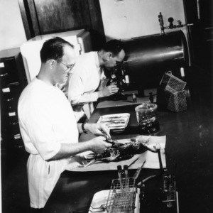 Researchers in Poultry Lab