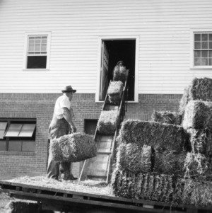 Worker putting bailed hay in loft with mechanical loader