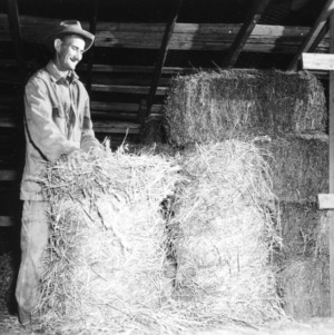 Worker with bailed hay in loft