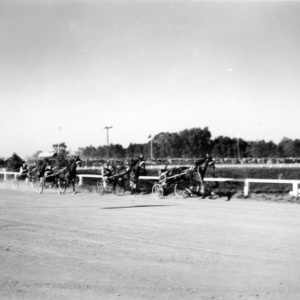 Horse cart race at NC State Fair
