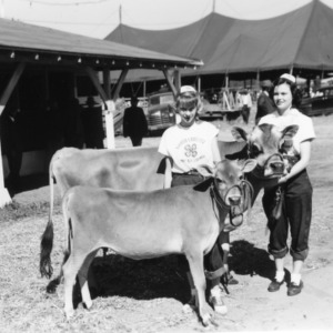 Artificially bred calf at NC State Fair