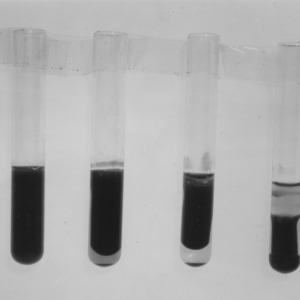 Test tubes for red blood cell study