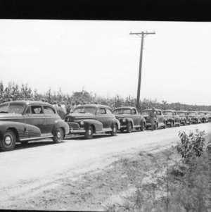 Corn Tour Showing Line of Cars-