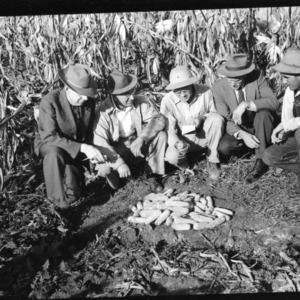 Group Inspecting Yield of Hybrid Seed Corn Plot