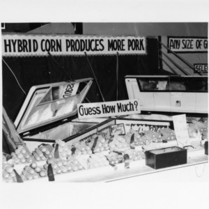 North Carolina State Fair, Agronomy Exhibits, Corn, Peanuts, Soy beans, Small Grain