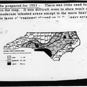 N.C. Map 1952 Boll Weevil