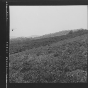 Unit test demonstration Farms, T.V.A. Potash Institute