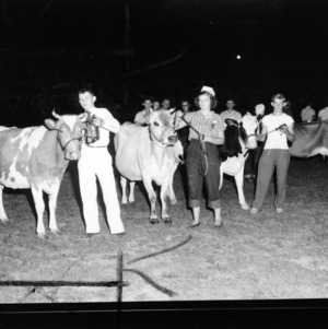 Wilmington Junior Dairy Cattle Show