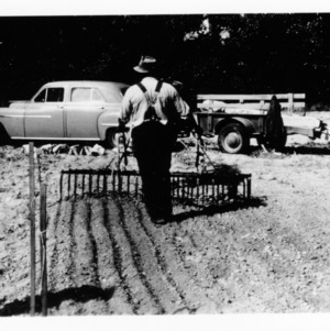 Plant bed irrigation and preparation, December 1953