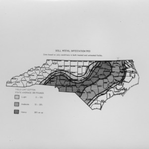 Map, Boll Weevil infestation 1953, Yield limit Cotton State Average 280 Pounds, March 1954