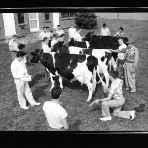 Animal Industry Lab at College Dairy Farm for catalog, April 1954