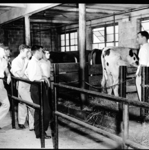 Animal Industry Lab at College Dairy Farm for catalog, April 1954