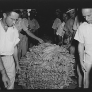 Wedell Tobacco Warehouse Scenes, August 1954