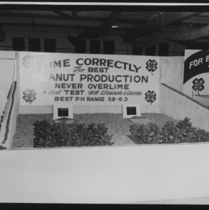 NC State Fair, October 1954: 1954 State Fair 4-H