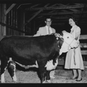 Cattle Show at Goldsboro, NC: Fat stack show and sale; Banquet at Goldsboro, NC; Winner and steer