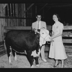 Cattle Show at Goldsboro, NC: Fat stack show and sale; Banquet at Goldsboro, NC; Winner and steer