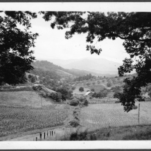 Pigeon Valley east of Waynesville, N.C., Haywood County; Student Crops and soils annual