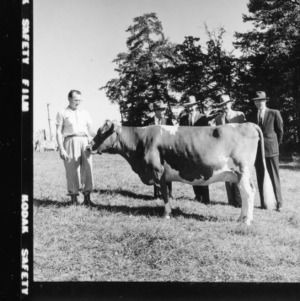 Cow presented to NC State College