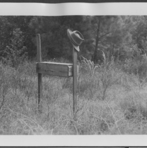 Wasp shelter, with hat