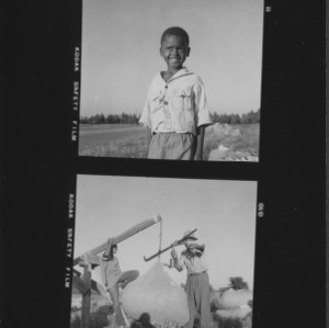 African American men and child in cotton field