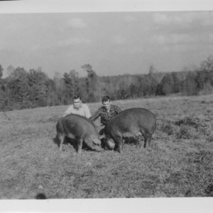 Dr. Stewart and other with swine in field