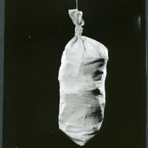 Bagging county ham