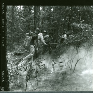 4-H Forestry Camp, 1956