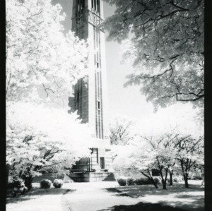 Memorial Bell Tower, 1956
