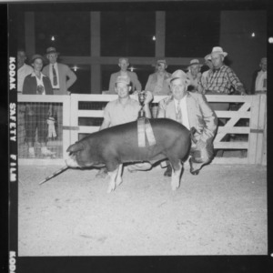 Grand Champion Individual and Pen; Second N. C Market Hog Show (Fair Grounds)