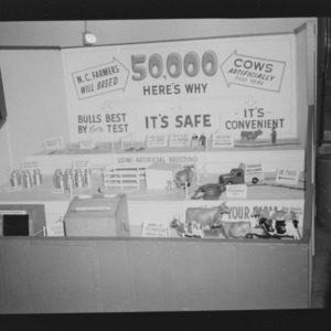 N. C. State Fair: Carlton Blalock, Dairy Extension; Fair Booth on Artificial Breeding