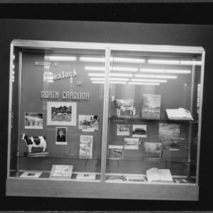 Library case display