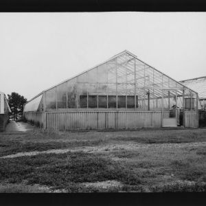Plant pathology greenhouse