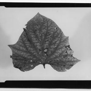 Agriculture and Life Science