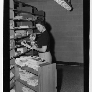 Library employee