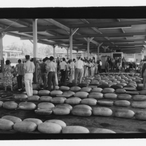 Watermelon Day, Farmers Market