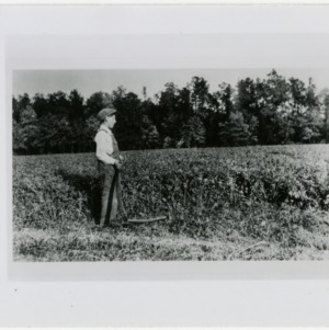 Boy with scythe in field