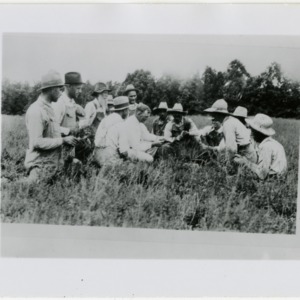 Group examining crops in field
