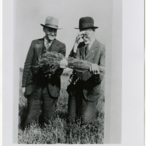 Men laughing while examining grass in field