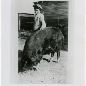Young boy with hog