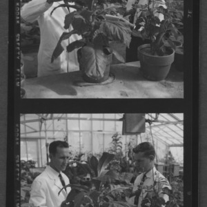 Dr. J Lawrence Apple and Tom Byrd in greenhouse