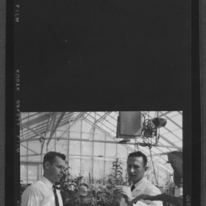 Dr. J Lawrence Apple and Tom Byrd in greenhouse