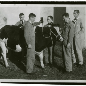 Veterinary medicine demands purpose and dedication, dog and cow